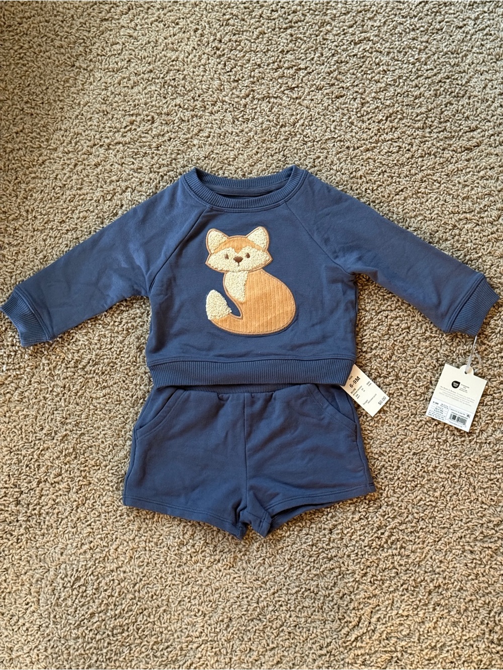 Cloud Island Navy Blue Fox Sweatshirt & Shorts Set 6-9M